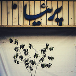 vahid (3)-35.jpg
